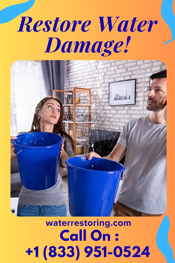 water restoration National Damage Recovery Crew Dames Quarter