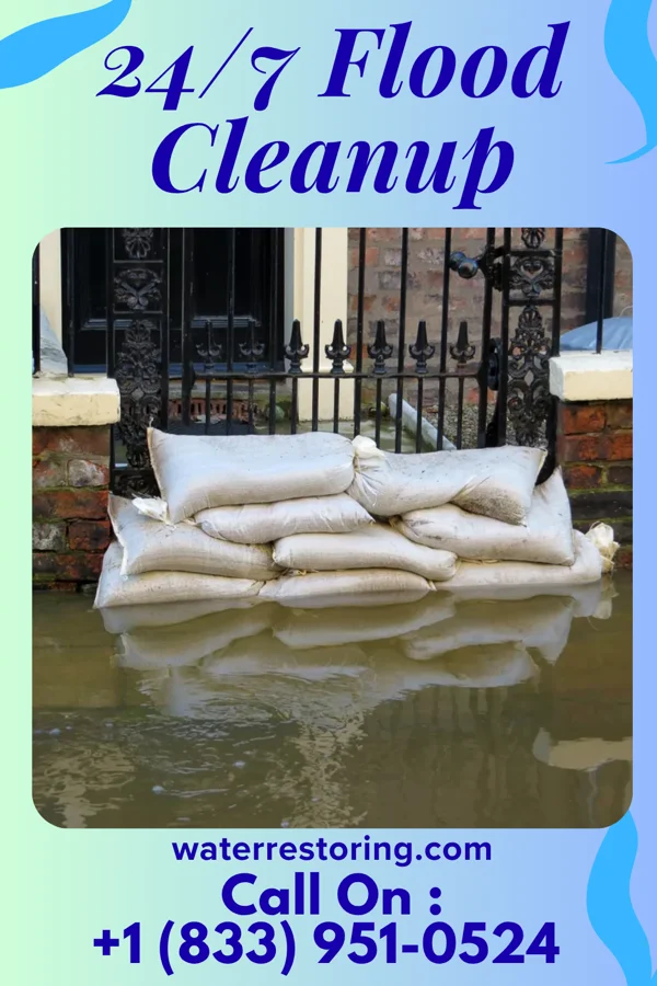 24/7 Flood Cleanup in Dames Quarter, MD