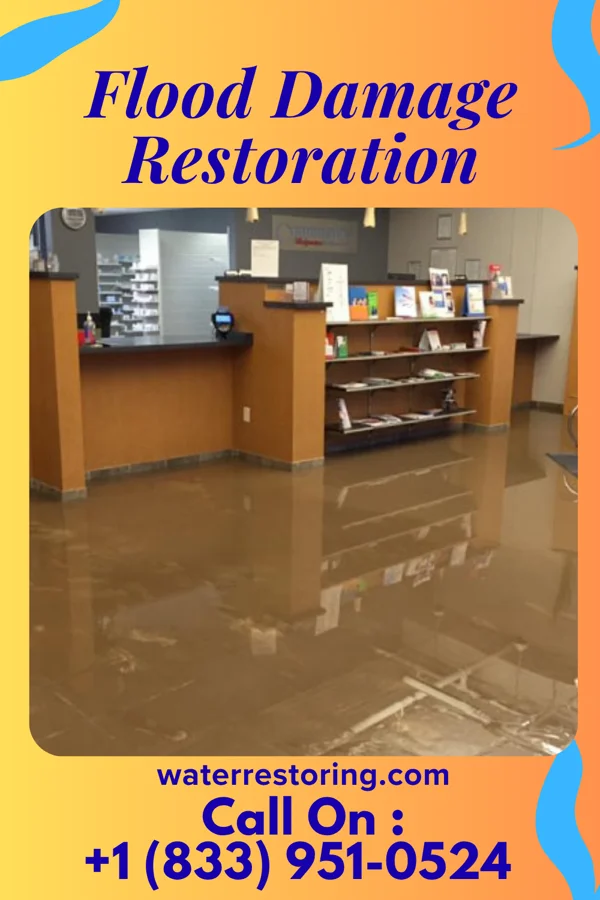 Flood Damage Restoration in Dames Quarter, MD